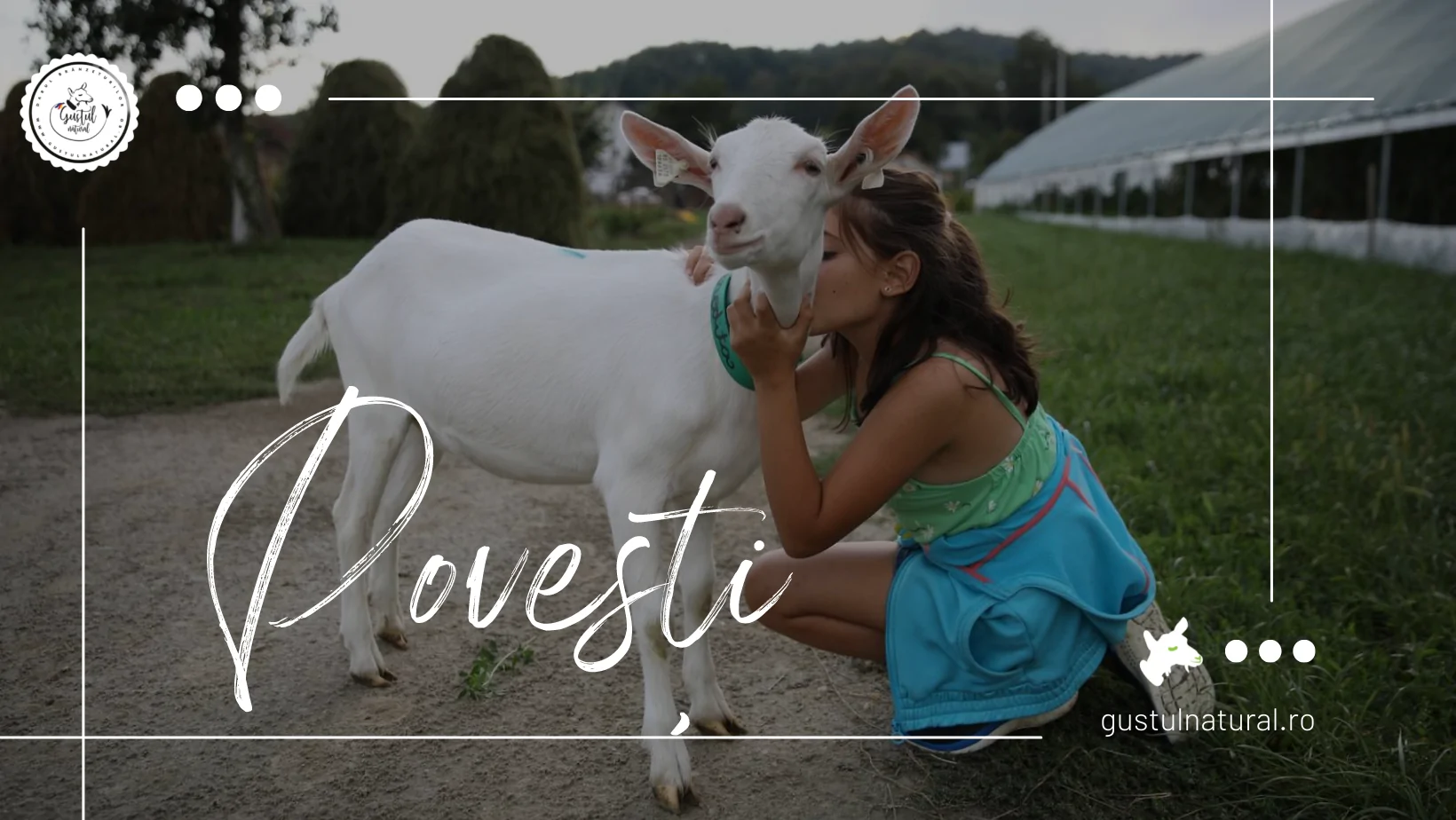 Povești