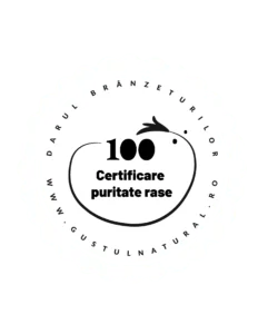 puritate rase-GN