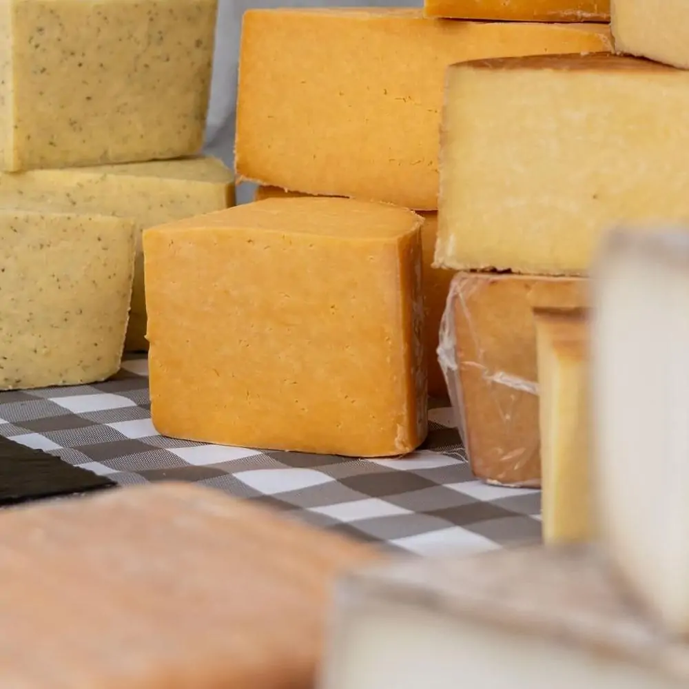 jonny-gios-pasta-protectie pasta protectie